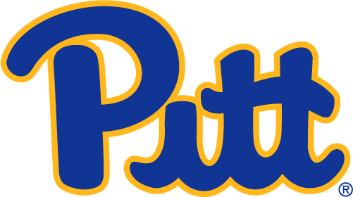 Pittsburgh Panthers 2019-Pres Primary Logo iron on transfers for clothing...